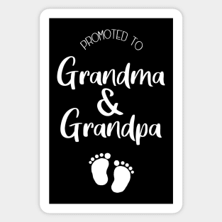 Promoted to Grandparents Sticker